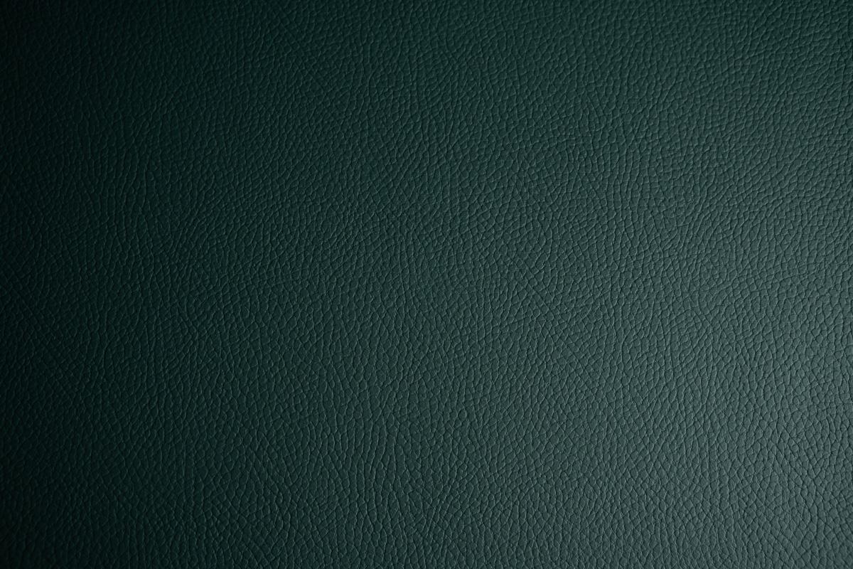 Dollaro Fog Green