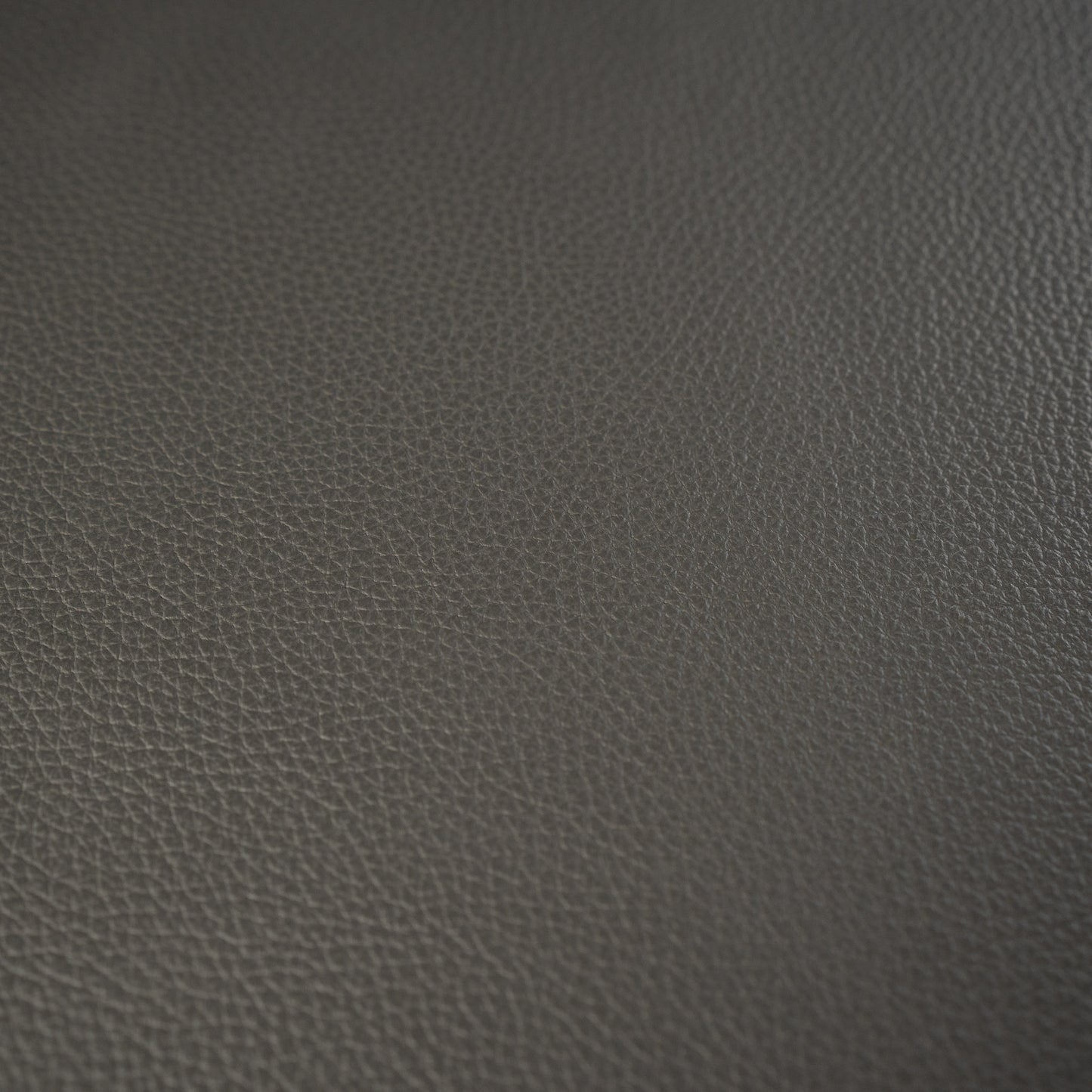 Dollaro Grey