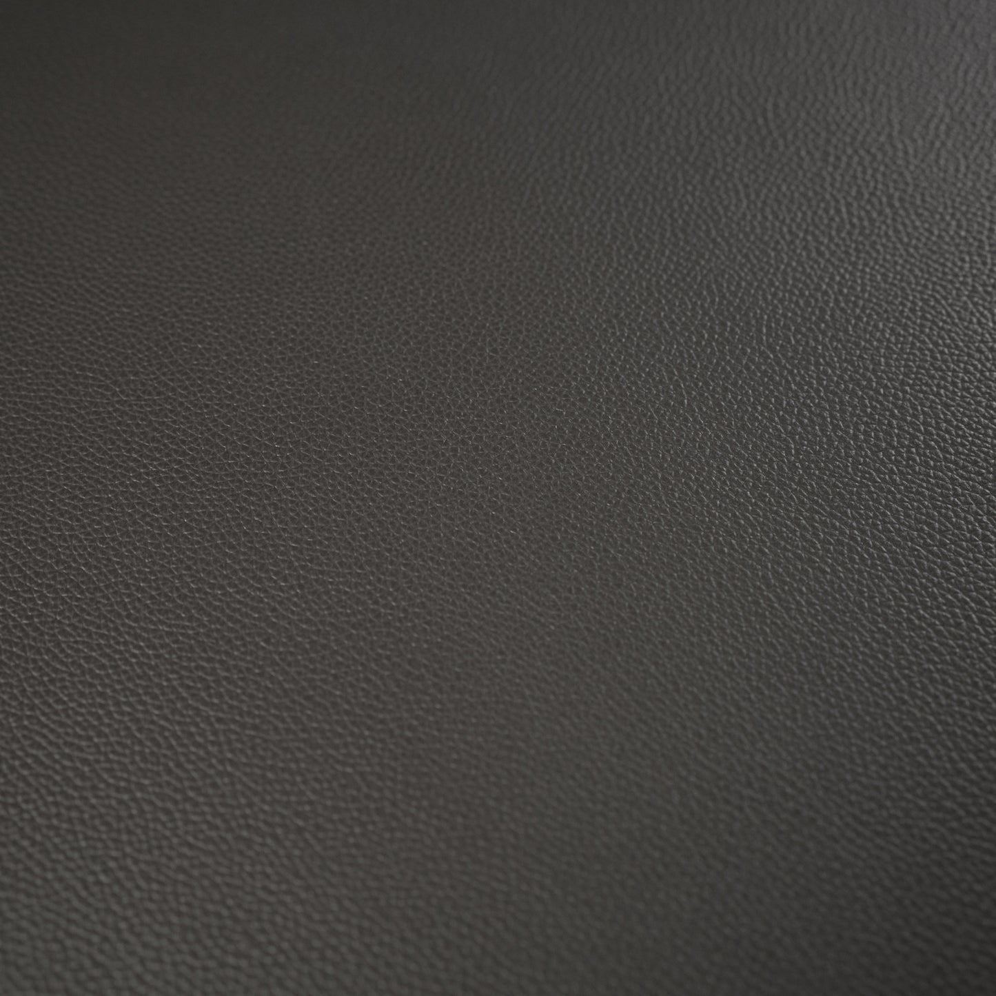 Spectador Grey